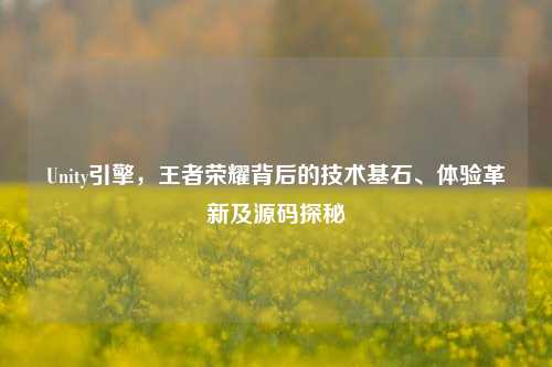 Unity引擎,王者荣耀背后的技术基石、体验革新及源码探秘
