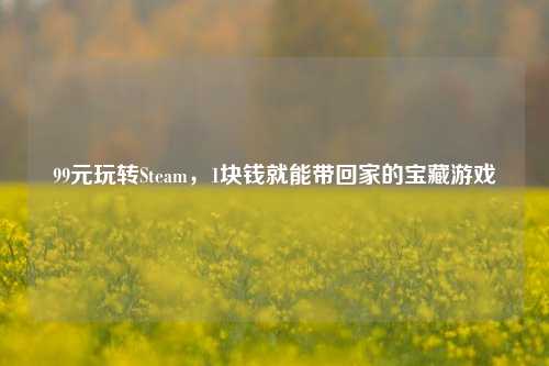 99元玩转Steam,1块钱就能带回家的宝藏游戏