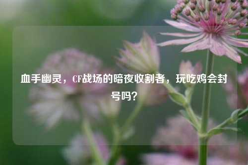 血手幽灵，CF战场的暗夜收割者，玩吃鸡会封号吗？