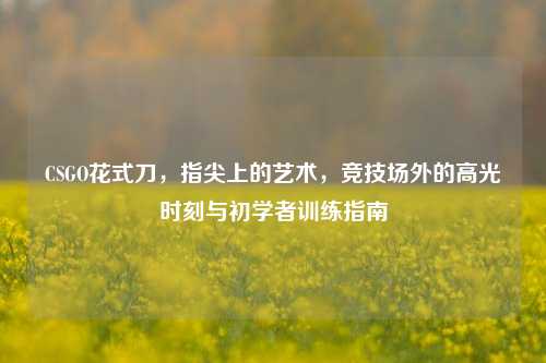 CSGO花式刀，指尖上的艺术，竞技场外的高光时刻与初学者训练指南