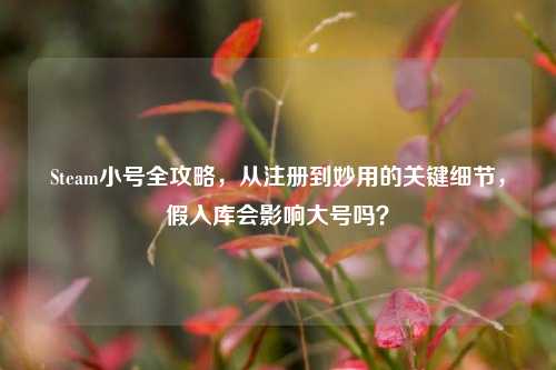 Steam小号全攻略，从注册到妙用的关键细节，假入库会影响大号吗？