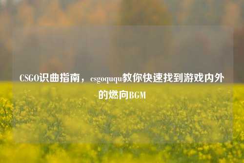 CSGO识曲指南,csgoququ教你快速找到游戏内外的燃向BGM