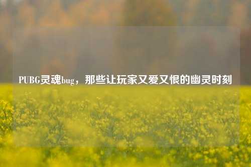 PUBG灵魂bug,那些让玩家又爱又恨的幽灵时刻