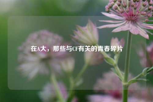 在A大，那些与CF有关的青春碎片