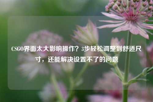 CSGO界面太大影响操作？3步轻松调整到舒适尺寸，还能解决设置不了的问题