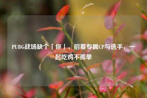 PUBG战场缺个「你」,招募专属CP与选手,一起吃鸡不孤单