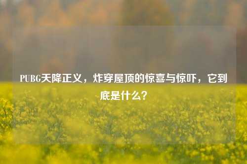PUBG天降正义,炸穿屋顶的惊喜与惊吓,它到底是什么?