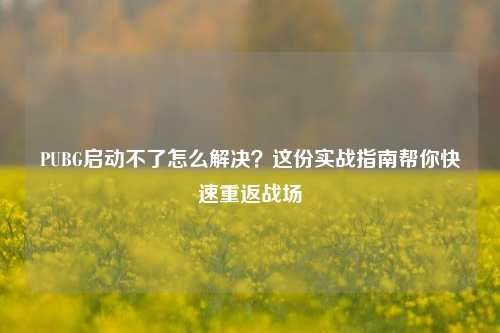 PUBG启动不了怎么解决？这份实战指南帮你快速重返战场