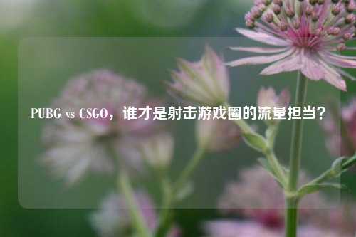 PUBG vs CSGO，谁才是射击游戏圈的流量担当？