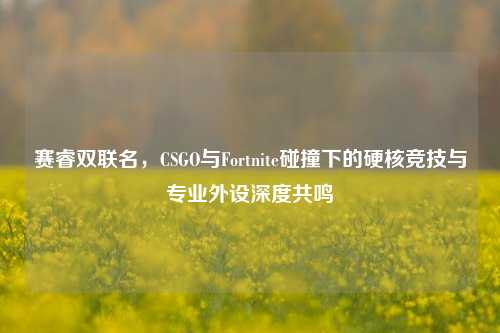 赛睿双联名，CSGO与Fortnite碰撞下的硬核竞技与专业外设深度共鸣