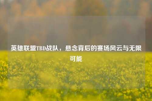 英雄联盟TBD战队，悬念背后的赛场风云与无限可能