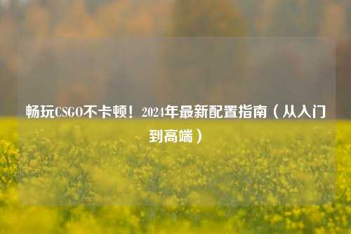 畅玩CSGO不卡顿！2024年最新配置指南（从入门到高端）