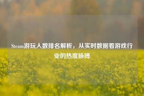 Steam游玩人数排名解析,从实时数据看游戏行业的热度脉搏