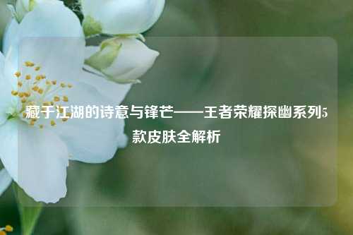 藏于江湖的诗意与锋芒——王者荣耀探幽系列5款皮肤全解析