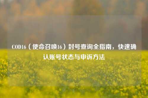 COD16(使命召唤16)封号查询全指南,快速确认账号状态与申诉方法