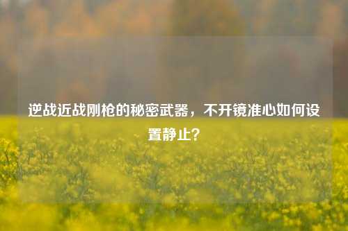 逆战近战刚枪的秘密武器,不开镜准心如何设置静止?