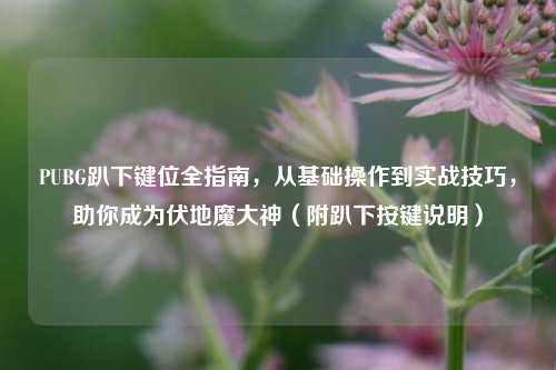 PUBG趴下键位全指南，从基础操作到实战技巧，助你成为伏地魔大神（附趴下按键说明）