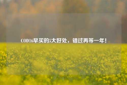COD16早买的5大好处，错过再等一年！