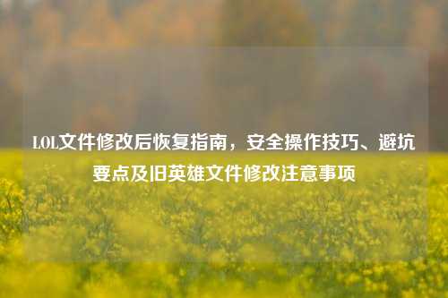 LOL文件修改后恢复指南，安全操作技巧、避坑要点及旧英雄文件修改注意事项