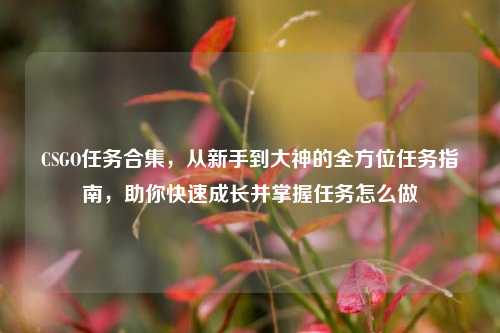 CSGO任务合集,从新手到大神的全方位任务指南,助你快速成长并掌握任务怎么做