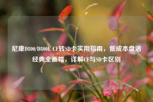 尼康D800/D800E CF转SD卡实用指南，低成本盘活经典全画幅，详解CF与SD卡区别