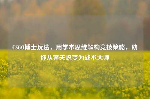 CSGO博士玩法，用学术思维解构竞技策略，助你从莽夫蜕变为战术大师