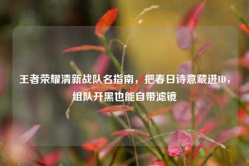 王者荣耀清新战队名指南，把春日诗意藏进ID，组队开黑也能自带滤镜