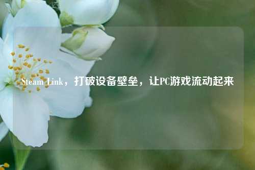 Steam Link，打破设备壁垒，让PC游戏流动起来
