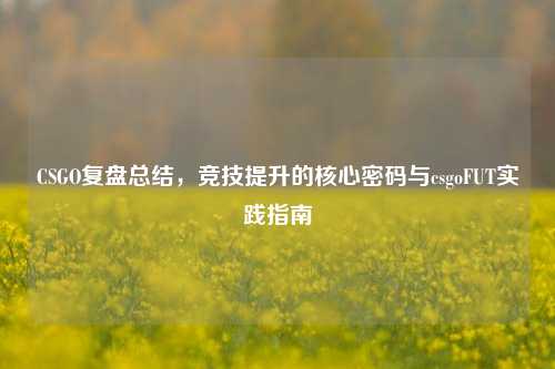 CSGO复盘总结,竞技提升的核心密码与csgoFUT实践指南