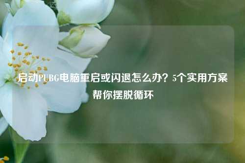 启动PUBG电脑重启或闪退怎么办？5个实用方案帮你摆脱循环