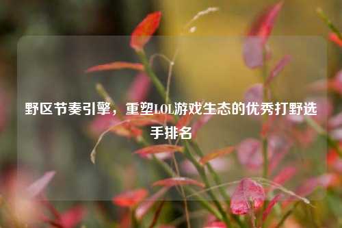 野区节奏引擎,重塑LOL游戏生态的优秀打野选手排名