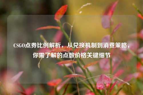 CSGO点券比例解析，从兑换机制到消费策略，你需了解的点数价格关键细节