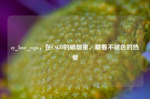 zy_love_csgo,在CSGO的硝烟里,藏着不褪色的热爱