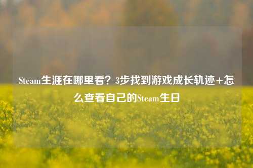 Steam生涯在哪里看?3步找到游戏成长轨迹+怎么查看自己的Steam生日