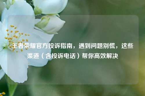 王者荣耀官方投诉指南，遇到问题别慌，这些渠道（含投诉电话）帮你高效解决
