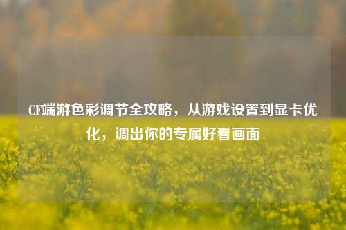 CF端游色彩调节全攻略，从游戏设置到显卡优化，调出你的专属好看画面