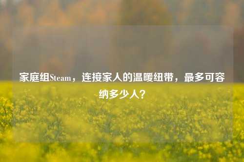 家庭组Steam,连接家人的温暖纽带,最多可容纳多少人?