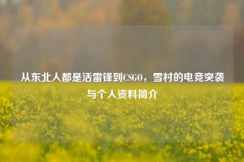 从东北人都是活雷锋到CSGO,雪村的电竞突袭与个人资料简介