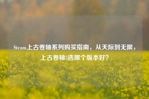 Steam上古卷轴系列购买指南，从天际到无限，上古卷轴5选哪个版本好？