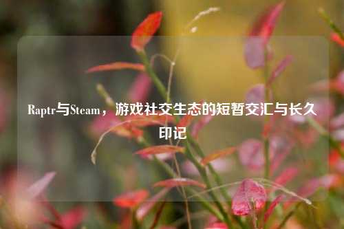 Raptr与Steam，游戏社交生态的短暂交汇与长久印记