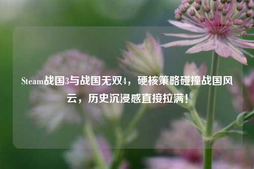 Steam战国3与战国无双4，硬核策略碰撞战国风云，历史沉浸感直接拉满！