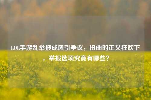LOL手游乱举报成风引争议，扭曲的正义狂欢下，举报选项究竟有哪些？