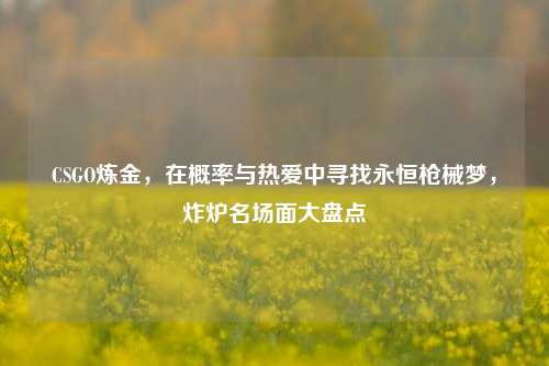 CSGO炼金，在概率与热爱中寻找永恒枪械梦，炸炉名场面大盘点