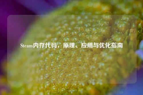 Steam内存代码，原理、应用与优化指南