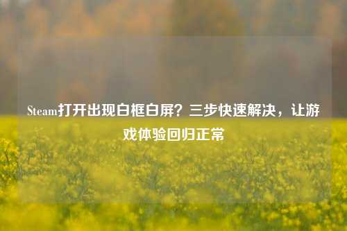 Steam打开出现白框白屏？三步快速解决，让游戏体验回归正常