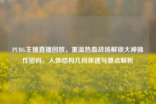PUBG主播直播回放，重温热血战场解锁大神操作密码，人体结构几何体速写要点解析