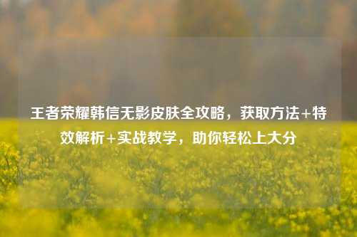 王者荣耀韩信无影皮肤全攻略,获取方法+特效解析+实战教学,助你轻松上大分
