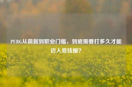PUBG从萌新到职业门槛,到底需要打多久才能迈入竞技圈?