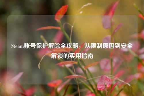 Steam账号保护解除全攻略,从限制原因到安全解锁的实用指南