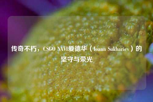 传奇不朽，CSGO NAVI爱德华（Ioann Sukhariev）的坚守与荣光